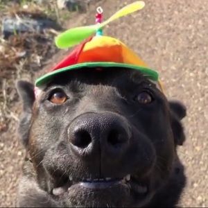 Meet your Posher, Jonathan